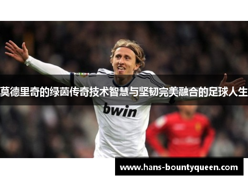 莫德里奇的绿茵传奇技术智慧与坚韧完美融合的足球人生 莫德里奇的绿茵传奇技术智慧与坚韧完美融合的足球人生