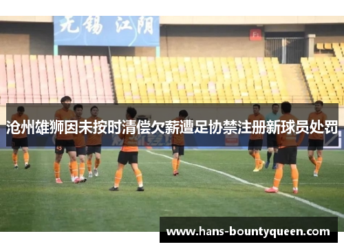沧州雄狮因未按时清偿欠薪遭足协禁注册新球员处罚