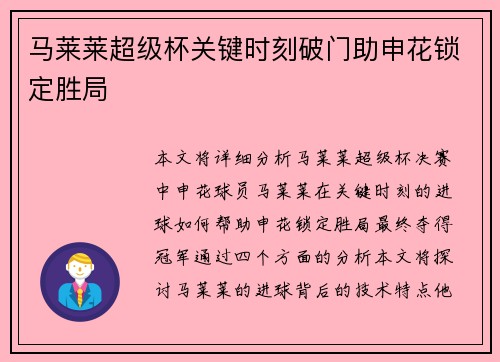 马莱莱超级杯关键时刻破门助申花锁定胜局